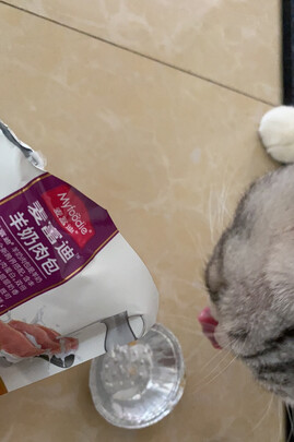 猫零食