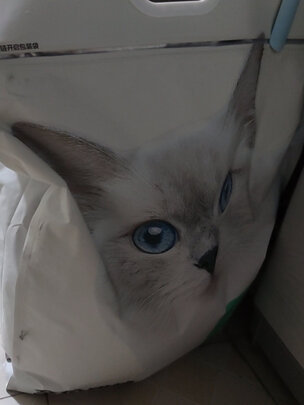 猫粮