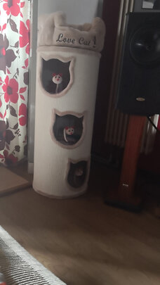 猫爬架