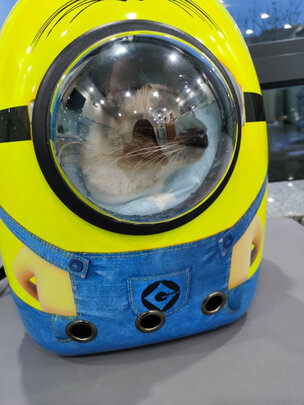 猫包