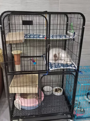  猫笼
