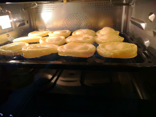 daogrsG3蒸烤箱|意大利G3蒸烤箱怎么样讲一讲体验真实感受