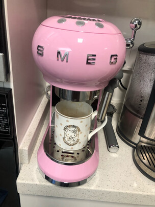 求助专家:SMEG斯麦格ECF01怎么样到底垃不垃圾?