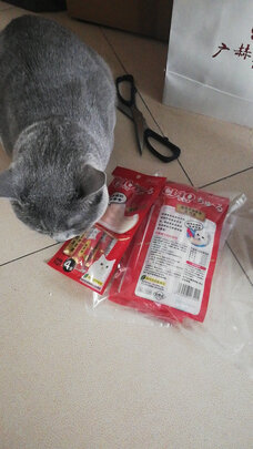 猫条猫零食