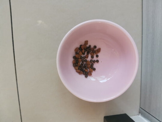 猫碗狗碗