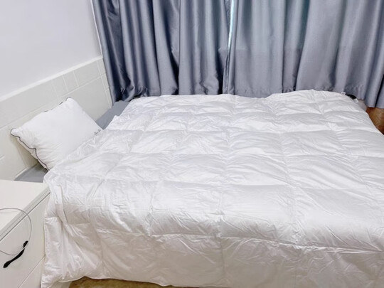 源生活源生活鹅绒被一个月后开始后悔了诉说原因