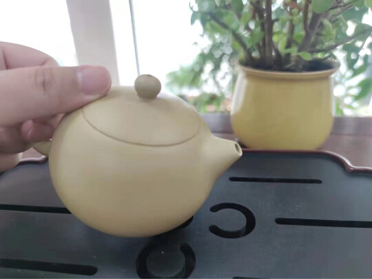紫砂壶|用户揭秘藏壶天下本山绿泥西施紫砂壶好吗,入手解密评测真相