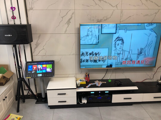 质量评测音悦阁点歌机是品牌机吗？使用2个月感受？
