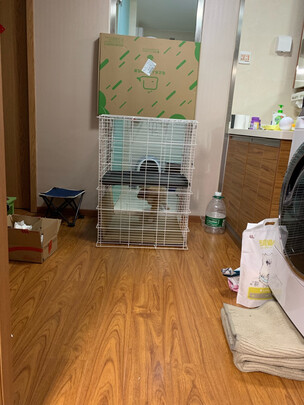  猫笼