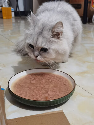 猫粮罐头