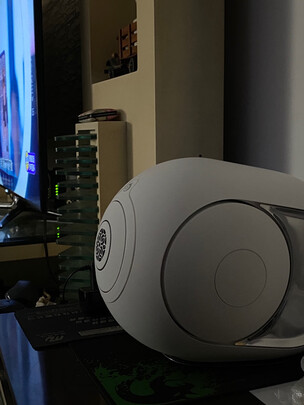 DEVIALETZP496（前车之鉴）有必要告诉大家真相