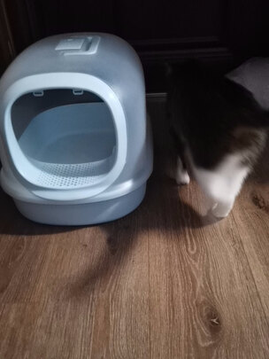 猫砂铲