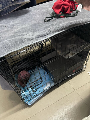 猫笼