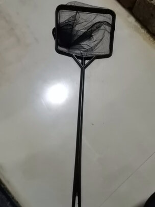 鱼缸鱼捞捞鱼网
