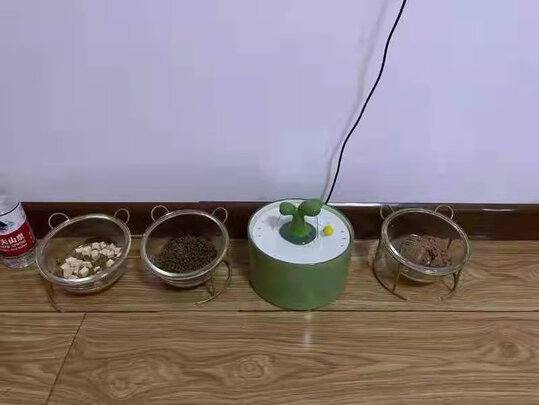 宠物饮水机