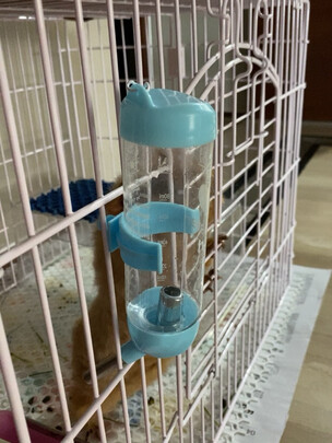 仓鼠水壶