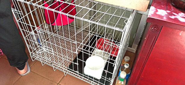  猫笼