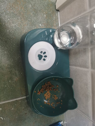 猫碗狗碗