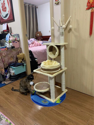 猫爬架
