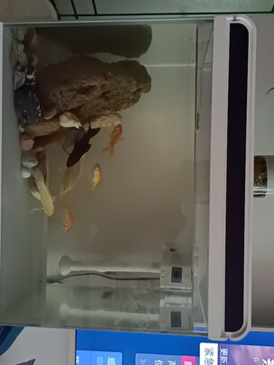 智能鱼缸