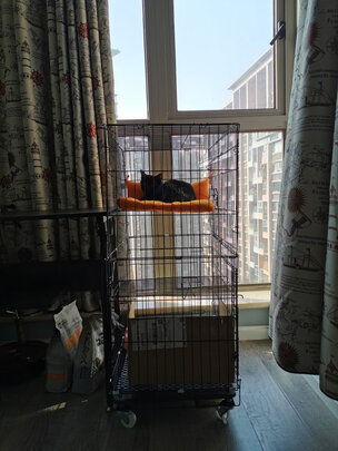  猫笼
