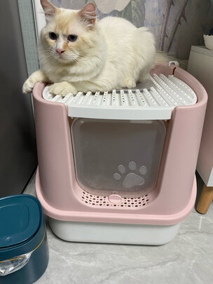 猫砂铲