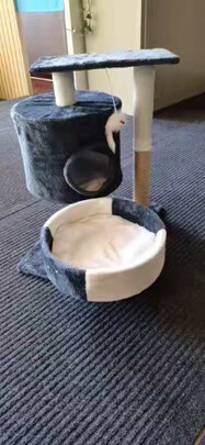 猫爬架