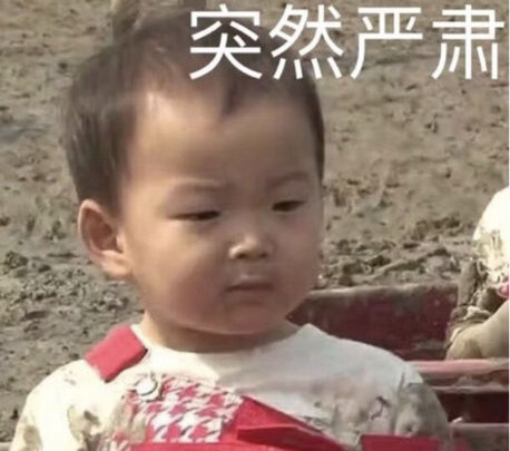 猫窝