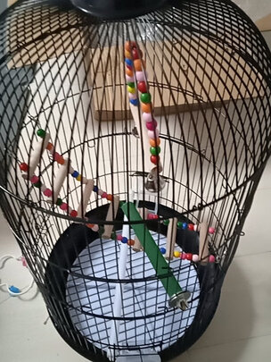 鸟笼