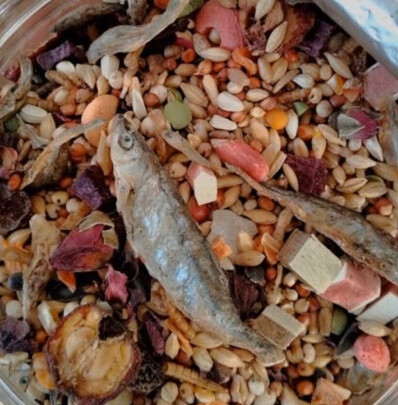 仓鼠粮食