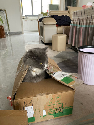 猫包