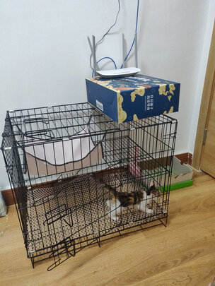 猫笼