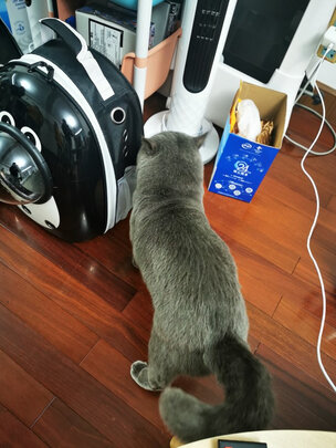 猫包