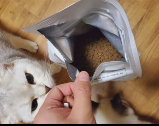 猫粮