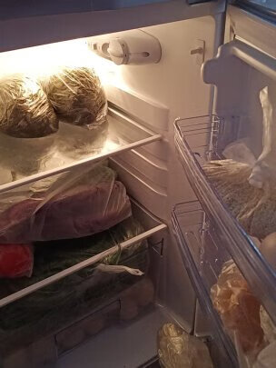 冰箱|客观评价奥克斯BCD-125P160L冰箱怎么样？上手三周说真相