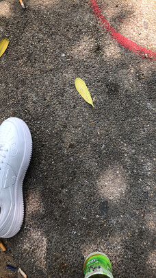 运动板鞋