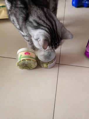 猫零食