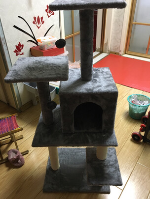 猫爬架