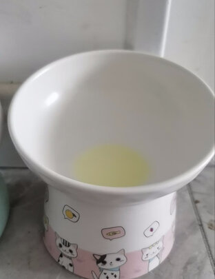 猫碗狗碗
