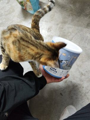 猫冻干