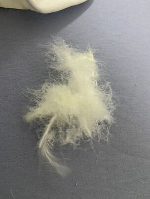 源生活源生活鹅绒被一个月后开始后悔了诉说原因