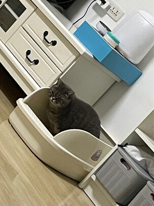 猫砂盆