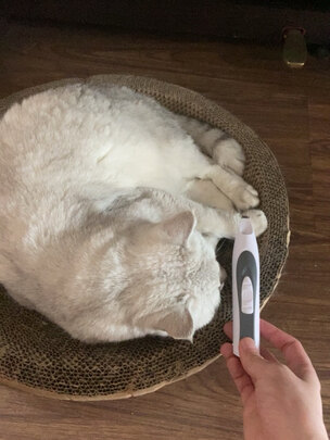 狗狗电推剪