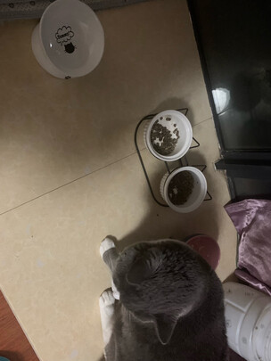 猫粮