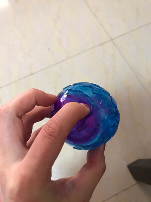 狗狗玩具