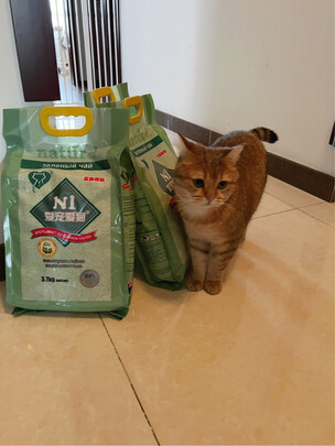 膨润土猫砂