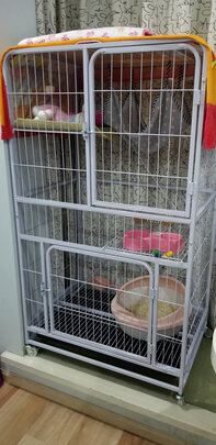  猫笼