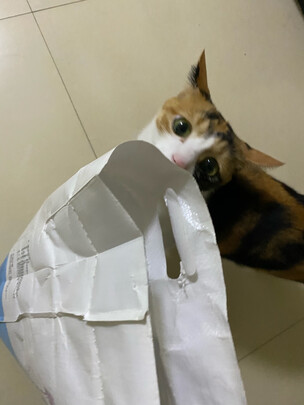 膨润土猫砂