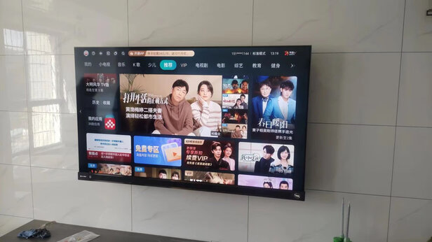 FFALCON雷鸟雀4SE价格多少钱