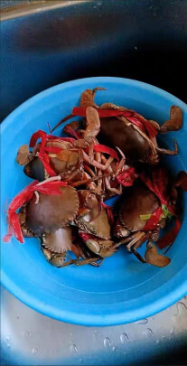 图片[4] - 品鉴活鲜大螃蟹2斤2只，好不好吃？ - 淘实惠